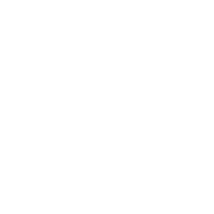 Amavi Charters logo