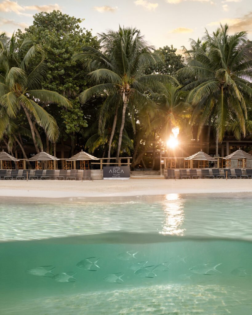 Arca Boutique Hotel beachfront with palms and umbrellas