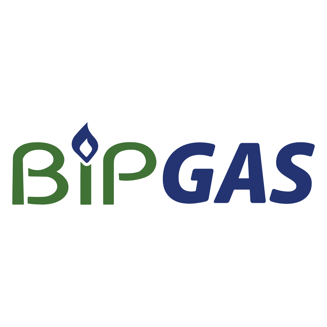 BIP Gas logo