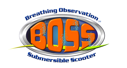 BOSS Underwater Adventure (Ocean Connections) logo