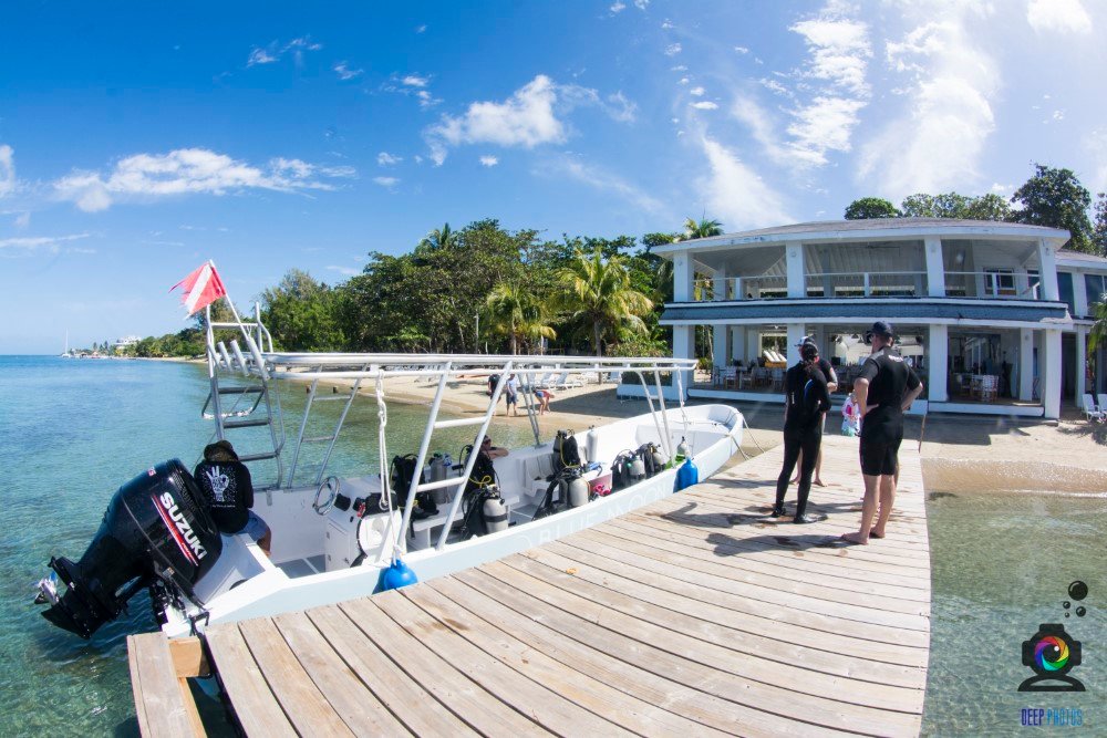Dive boat and dock at Blue Moon Scuba, Luna Beach