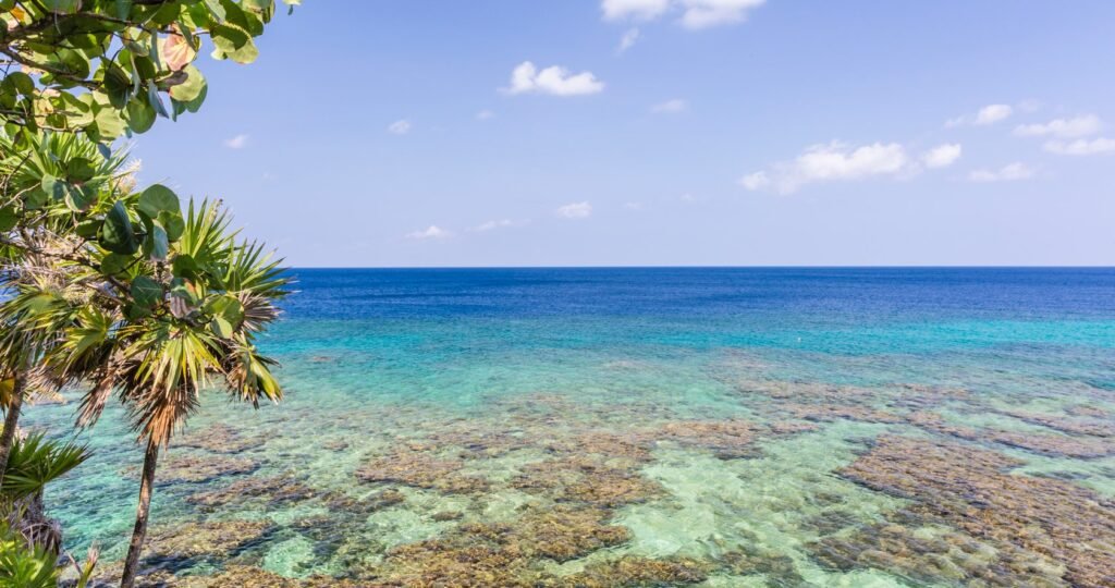 Sea and reef view from Brisas del Mar’s official website