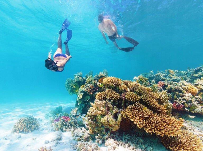 Snorkeling photograph from Charlie's Roatan Tours website