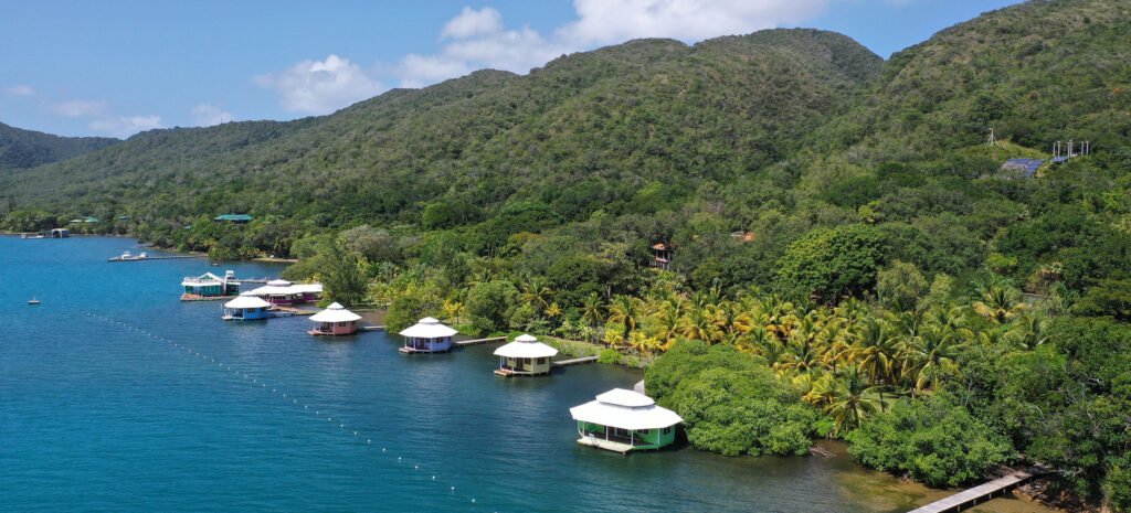 Mango Creek Resort over-water bungalows in Port Royal