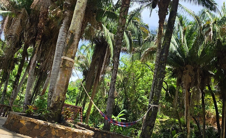 Outdoor stone patio and hammocks at Roatan Island Brewing Company