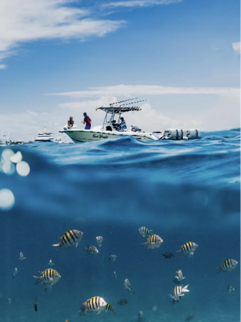 Boat and marine life shown on the Turquoise Divers official website